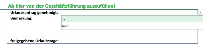 In Excel Eingabewerte einschränken